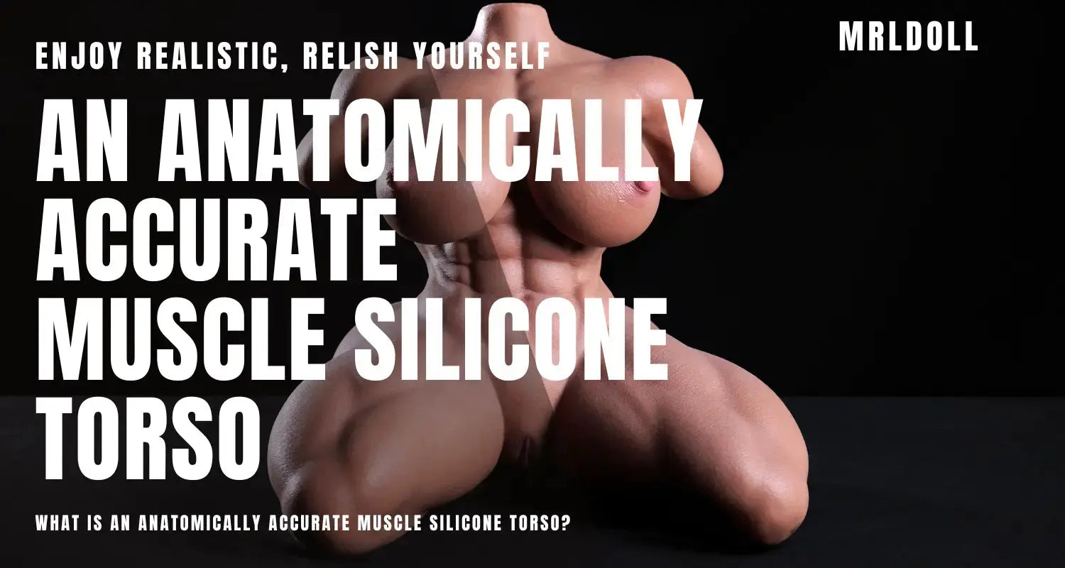 Image of What Is an Anatomically Accurate Muscle Silicone Torso?