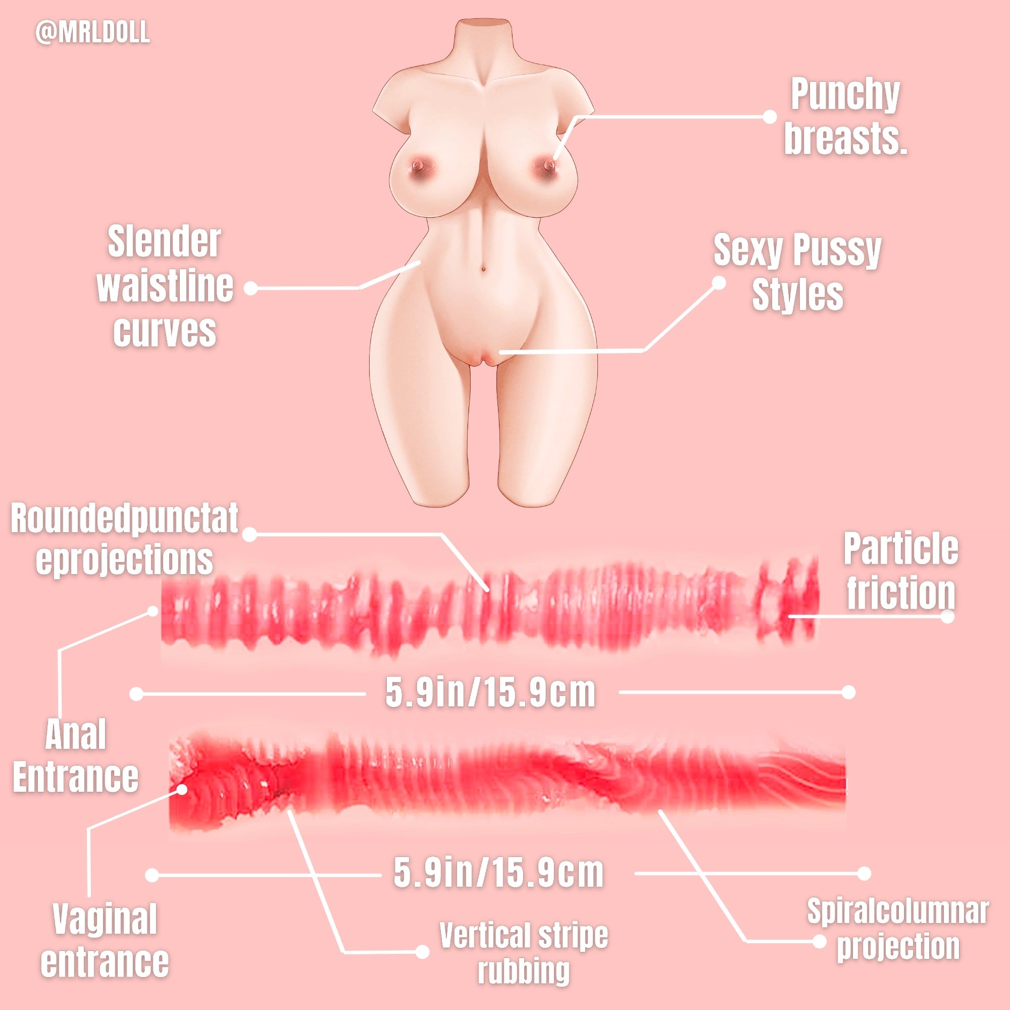 Image of Alina:32LB Ultra Realistic Sex Doll Female Torso With Sexy Pussy MRLDOLL