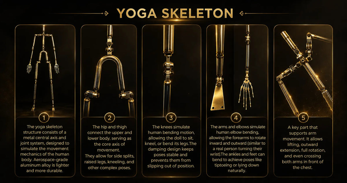 MRLDOLL yoga skeleton diagram highlighting hip, knee, arm and elbow joints.
